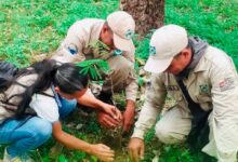 Venezuela celebra Día Mundial del Ambiente