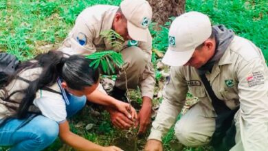 Venezuela celebra Día Mundial del Ambiente