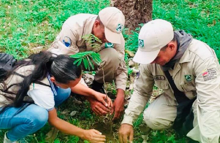 Venezuela celebra Día Mundial del Ambiente