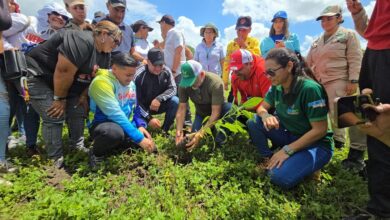 Ministerio para el Ecosocialismo sembrará 20 mil plantas en zona protectora de Guanare