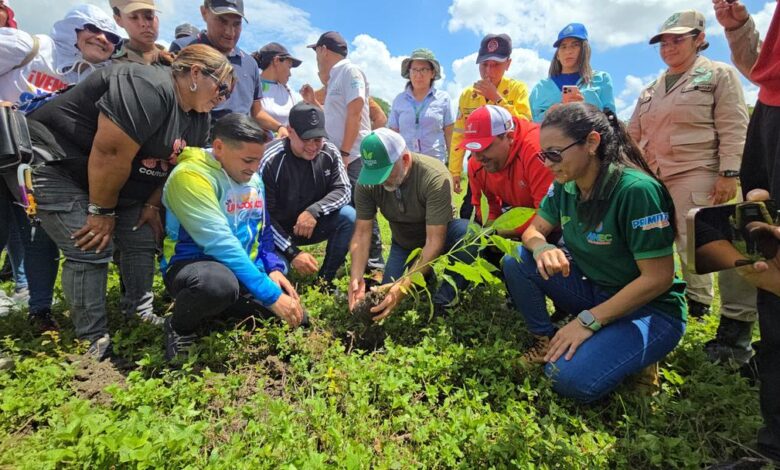Ministerio para el Ecosocialismo sembrará 20 mil plantas en zona protectora de Guanare
