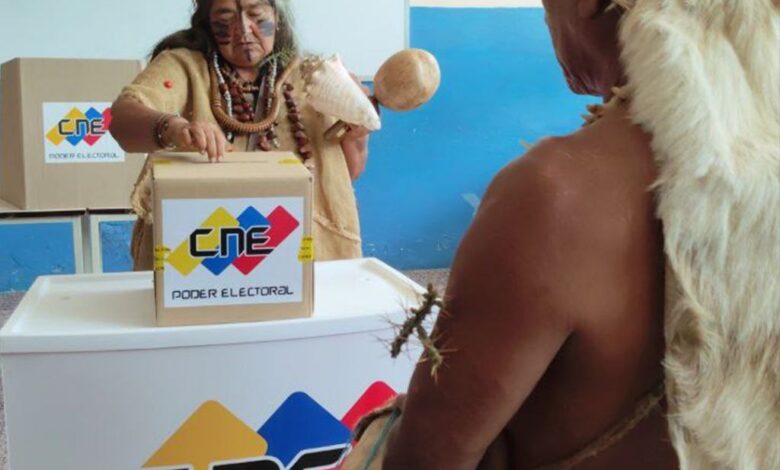 CNE adjudicó cargos a los tres diputados indígenas a la AN