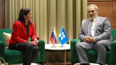 Vicepresidenta de Venezuela participa en el 9° Seminario Internacional de la OPEP en Viena