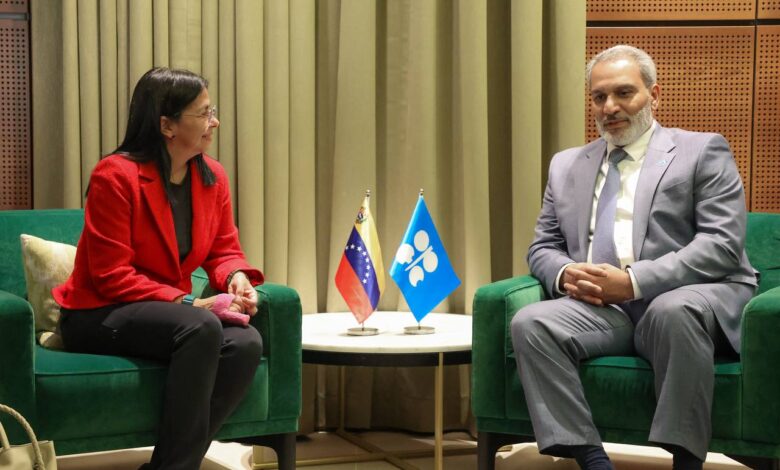 Vicepresidenta de Venezuela participa en el 9° Seminario Internacional de la OPEP en Viena