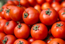 EE.UU. incluye el tomate en su lista de tarifazos contra México