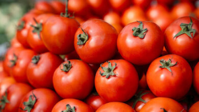 EE.UU. incluye el tomate en su lista de tarifazos contra México