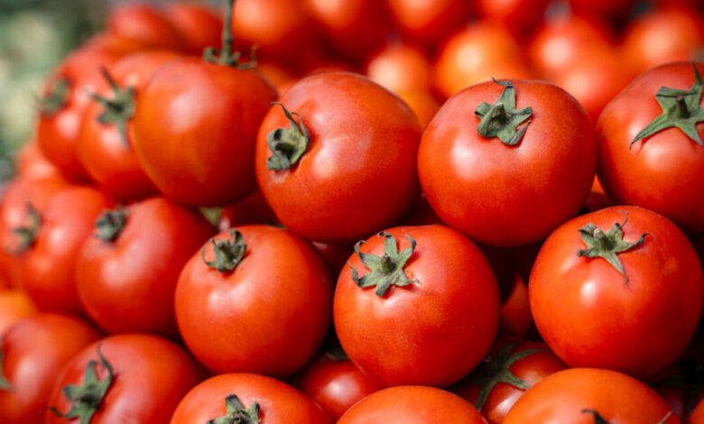 EE.UU. incluye el tomate en su lista de tarifazos contra México