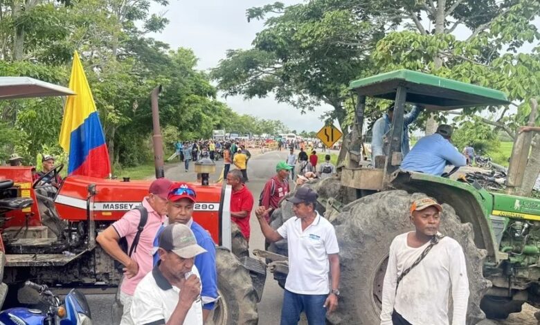 Inicia paro indefinido del sector arrocero en Colombia