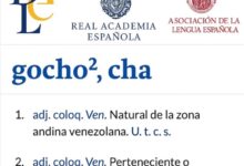 La RAE reconoció la palabra "Gocho" como gentilicio venezolano