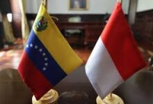 Venezuela e Indonesia preparan reunión de la IV Comisión Mixta