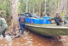 FANB desmantela dos campamentos logísticos de minería y Tancol en Amazonas