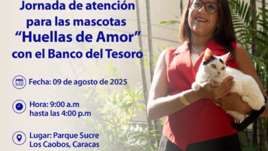 ¡Los invitamos a la Jornada de Atención para mascotas Huellas de Amor!