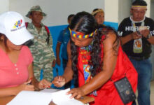 CNE reporta 35% de participación en elección de concejales indígenas