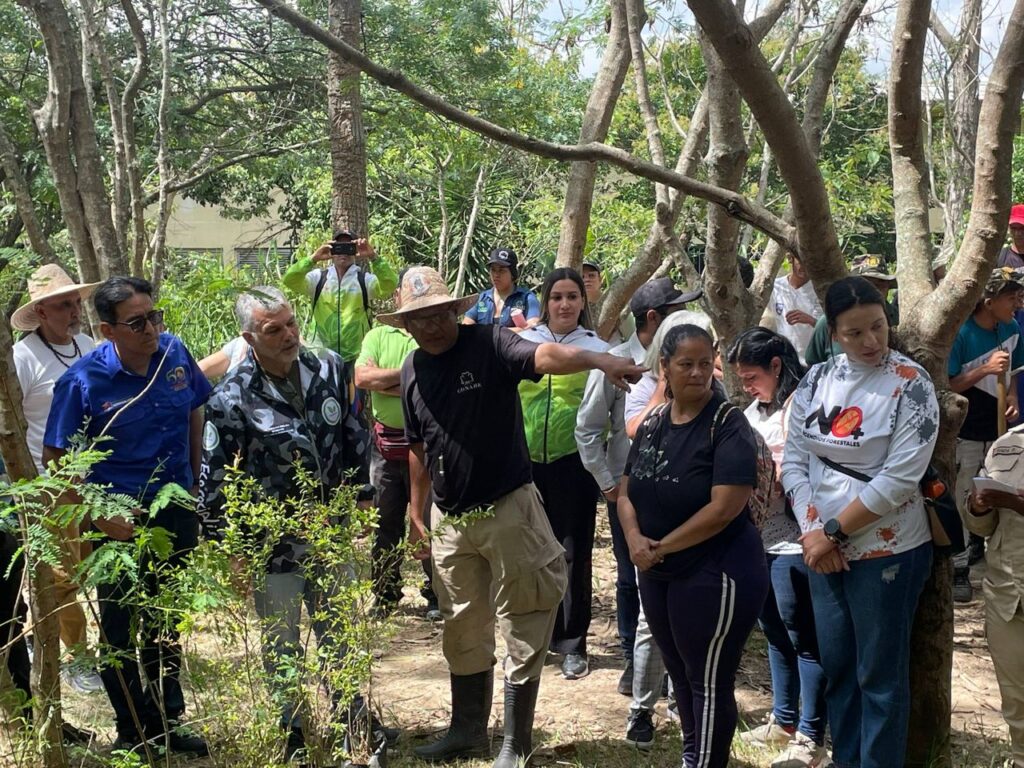 Venezuela siembra más de 74 mil plantas en jornada masiva de reforestación