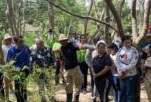 Venezuela siembra más de 74 mil plantas en jornada masiva de reforestación