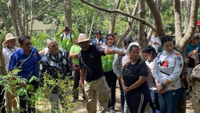 Venezuela siembra más de 74 mil plantas en jornada masiva de reforestación