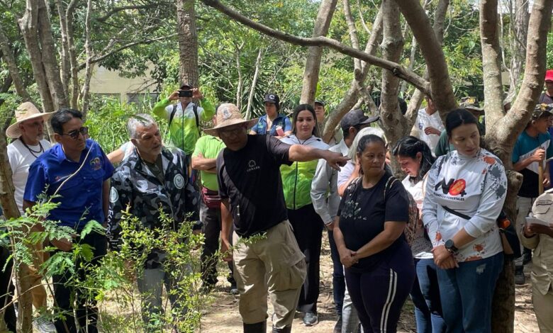 Venezuela siembra más de 74 mil plantas en jornada masiva de reforestación