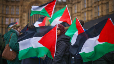 Congresistas de EE.UU. amenazan a 4 países por el reconocimiento a Palestina