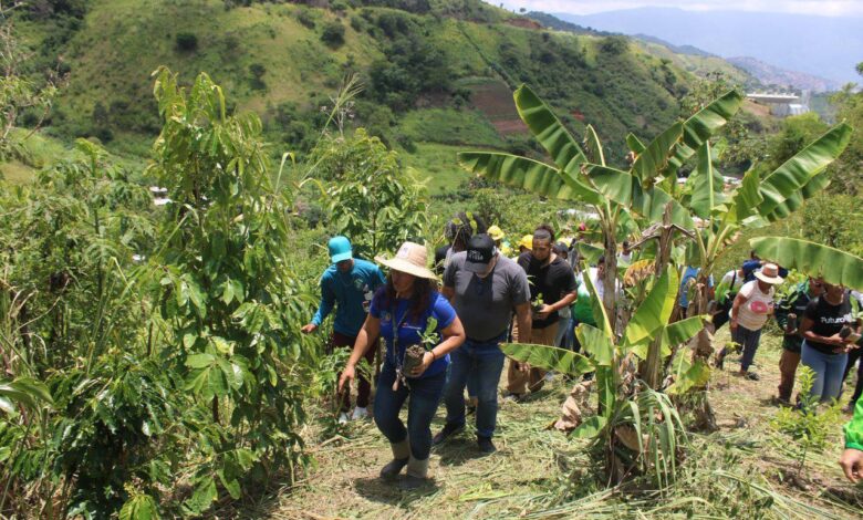 La Gran Misión Madre Tierra reforestó más de 135 hectáreas en tierras venezolanas