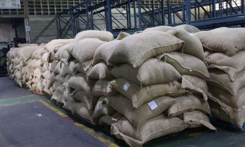 Venezuela ha exportado en 2 meses 300 toneladas de cacao a Rusia