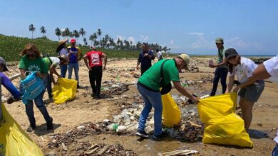 Activan Comité Operativo de Zonas Costeras para proteger los ecosistemas marinos en Venezuela