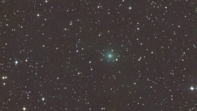 Cometa Lemmon podrá ser visto con binoculares en octubre