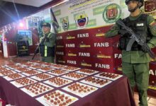 FANB incauta más de 24 kilogramos de cocaína en el estado Táchira
