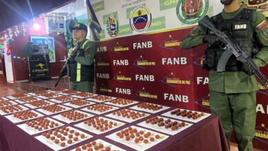 FANB incauta más de 24 kilogramos de cocaína en el estado Táchira