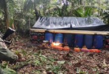 FANB destruye campamentos ilícitos en estados Amazonas y Zulia