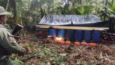 FANB destruye campamentos ilícitos en estados Amazonas y Zulia