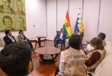 Arce pide a bolivianos participar con responsabilidad en la segunda vuelta