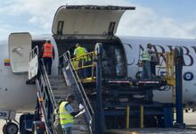 Venezuela recibe lote de 250 mil vacunas pentavalente