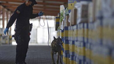 Ecuador: fiscalizan caso de droga presuntamente ligada a Grupo Noboa