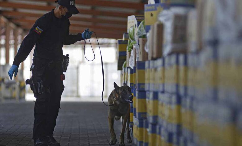 Ecuador: fiscalizan caso de droga presuntamente ligada a Grupo Noboa