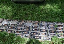 Ejército de Nicaragua incautó cargamento de droga