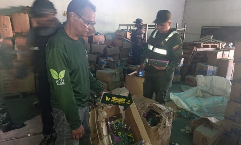 Decomisan Musgo y Barba de Palo que pretendían comercializar en época navideña