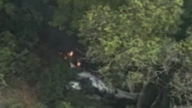 FANB inutiliza nueva aeronave hostil en Apure