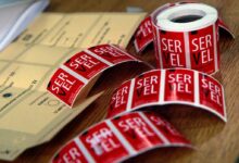 Prevén rápido conteo de votos en elecciones presidenciales de Chile