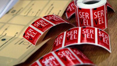 Prevén rápido conteo de votos en elecciones presidenciales de Chile