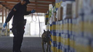 Revelan uso de carga de empresa familiar de Noboa para tráfico de cocaína