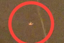 Fanb neutraliza una 'narcoavioneta' en Apure