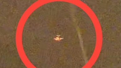 Fanb neutraliza una 'narcoavioneta' en Apure