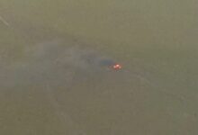 FANB intercepta e inutiliza una aeronave en Apure