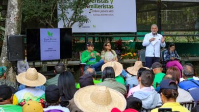 Venezuela reforestó más de 4 millones 800 mil plantas en las zonas más vulnerables del país