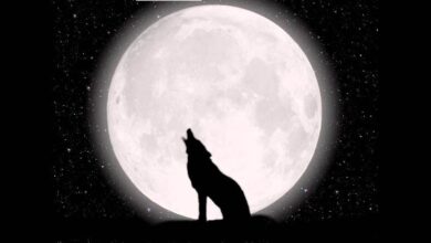 Imperdible/ El 2026 inicia con el brillo de la Superluna del Lobo