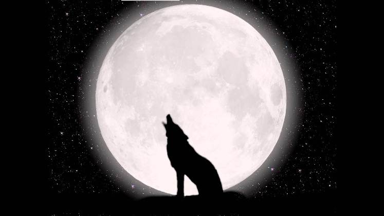 Imperdible/ El 2026 inicia con el brillo de la Superluna del Lobo