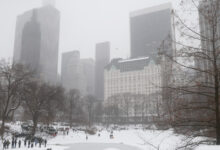 Al menos 7 personas mueren en EE.UU. en medio de potente tormenta invernal