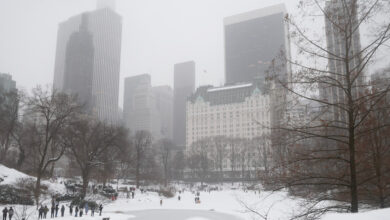 Al menos 7 personas mueren en EE.UU. en medio de potente tormenta invernal