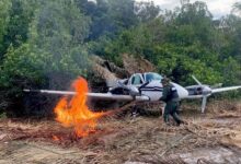 La Fanb neutraliza tres aeronaves en el estado Amazonas