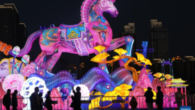 China: Año del Caballo transmite mensaje de resiliencia, solidaridad y laboriosidad